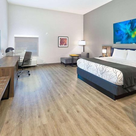 La Quinta Inn & Suites By Wyndham Dallas/Fairpark Εξωτερικό φωτογραφία